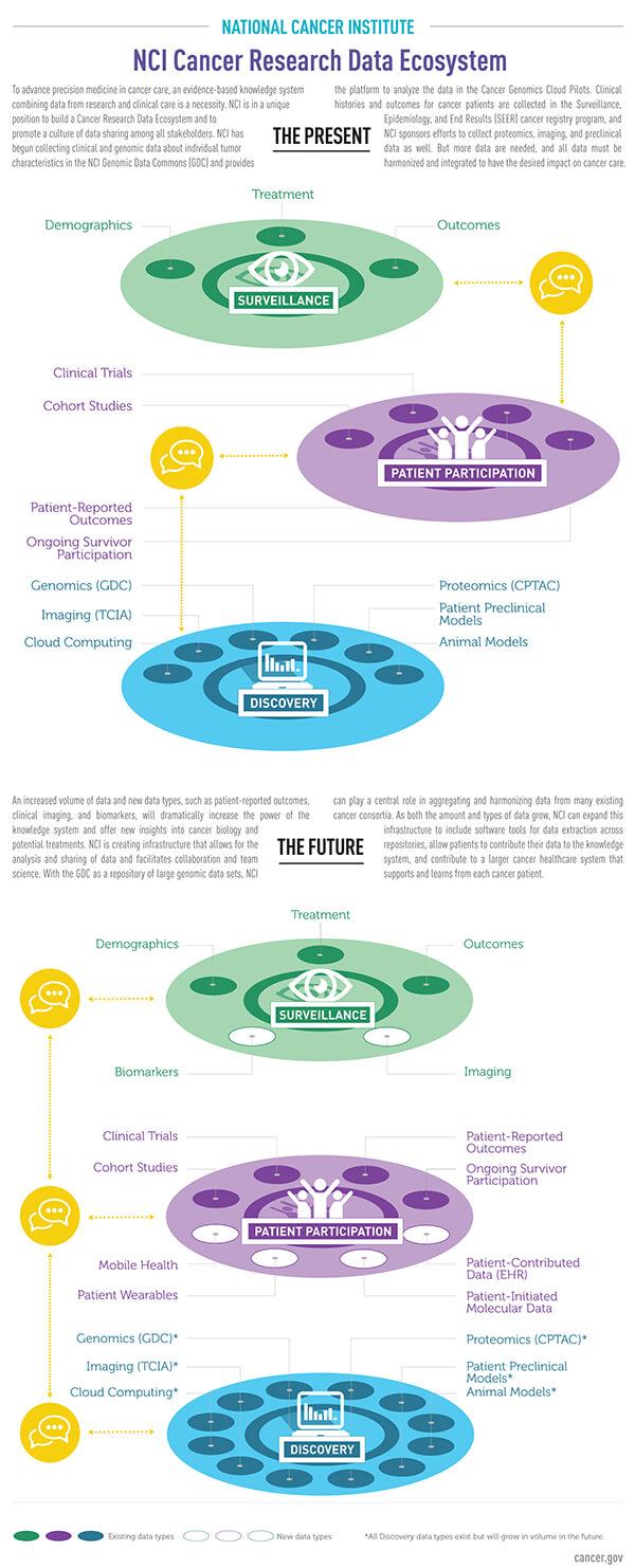 Knowledge-system-infographic-article.jpg