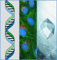 Thumbnail for version as of 11:25, 18 September 2019