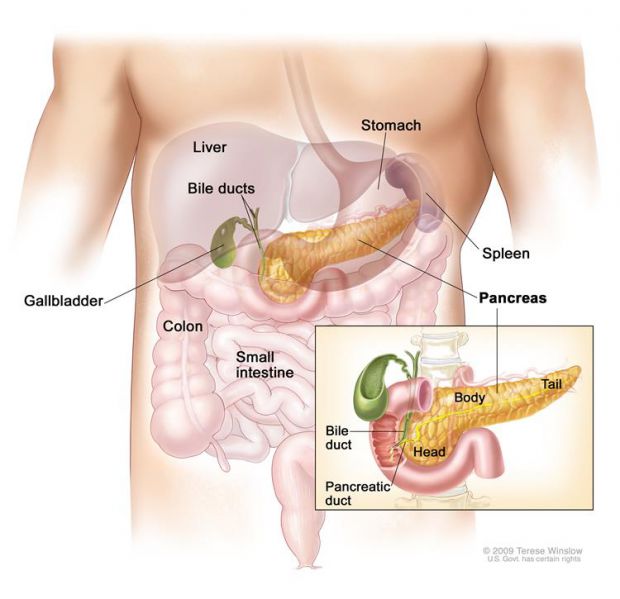 File:CDR636528-750.jpg