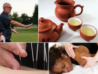 CAM-collage-article.jpg