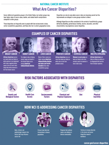 File:Disparities-infographic-article.png
