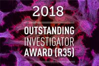 OIA2018-article.jpg