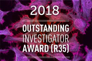OIA2018-article.jpg