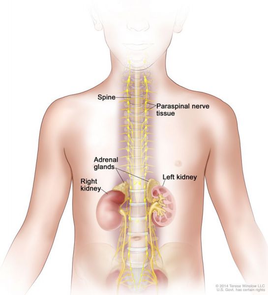 File:756627-750.jpg
