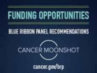 Brp-funding-230x172-b.jpg
