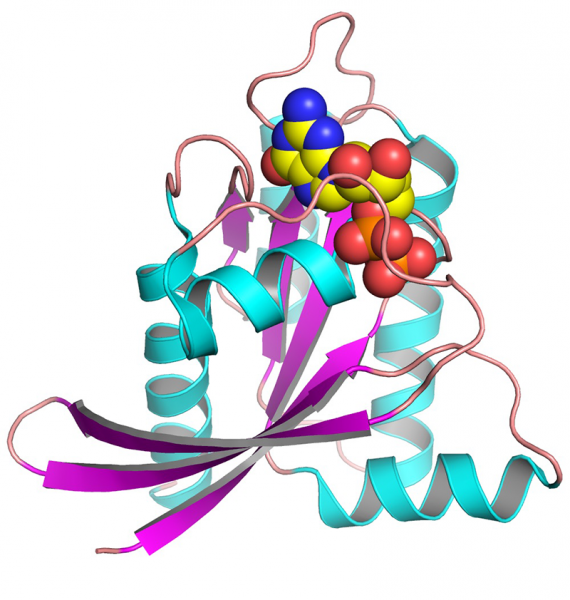 File:Ras-structural-biology-article.png