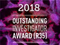 OIA2018-thumbnail.jpg