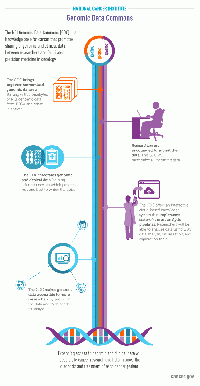 Gdc-infographic-collage-article.gif