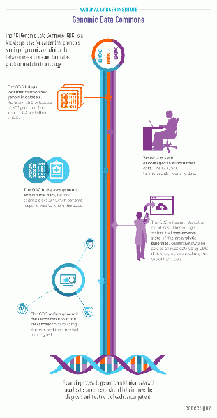 File:Gdc-infographic-collage-article.gif