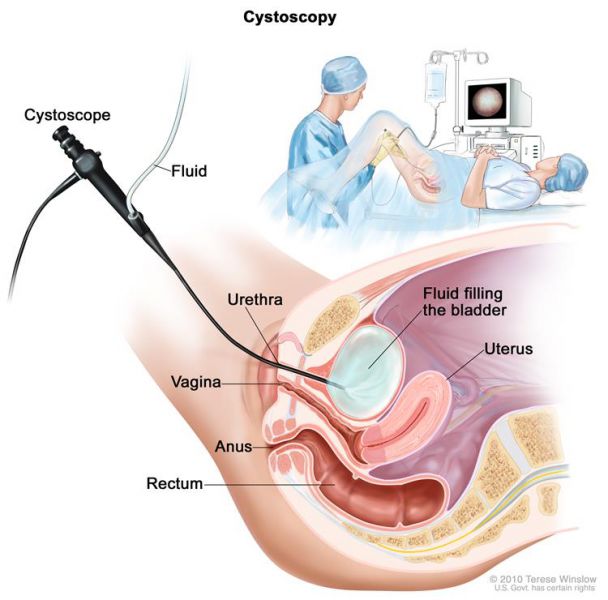 File:CDR649521-750.jpg
