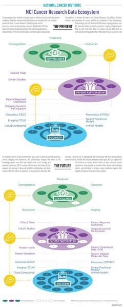 File:Knowledge-system-infographic-article.jpg