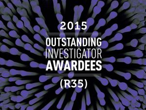Oia-awardees-graphic-2015-article.jpg