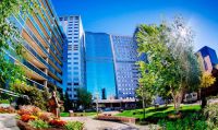 Mayoclinic-article.jpg