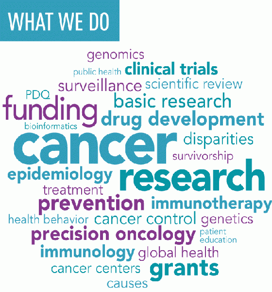 File:Nci-vol-11642-72.gif