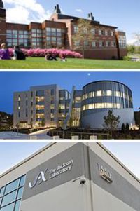 Jacksonlab-article.jpg