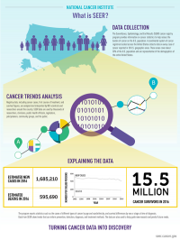 Seer-infographic-article.png