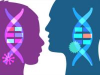 AML-children-adults-genomic-article.jpg